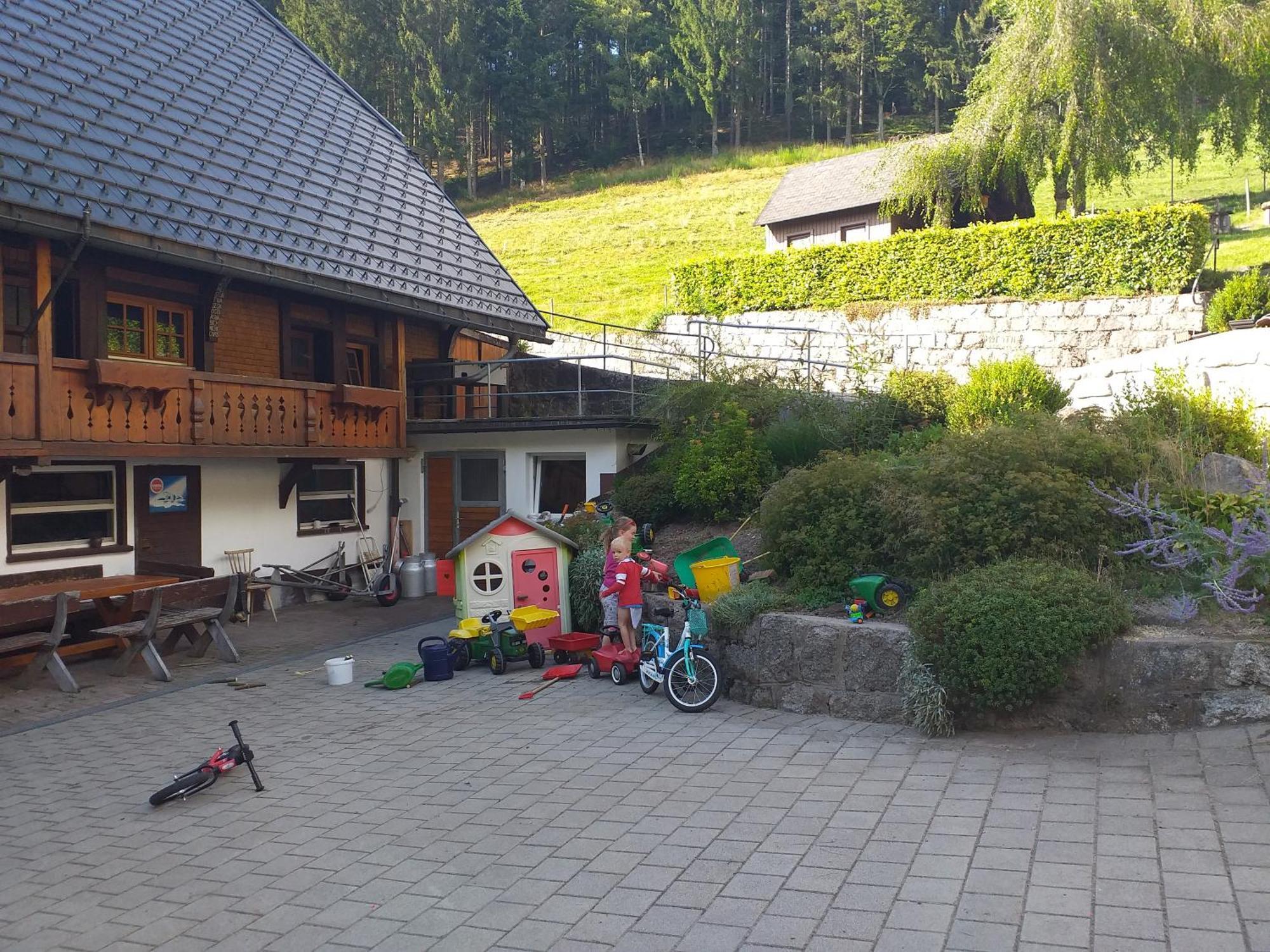 Unterhohnenhof Apartment Triberg im Schwarzwald